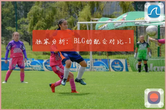 独家分析：BLG的配合对比_1