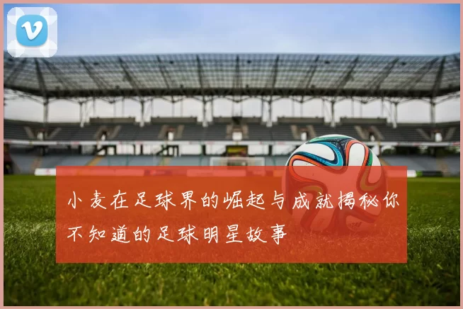 小麦在足球界的崛起与成就揭秘你不知道的足球明星故事