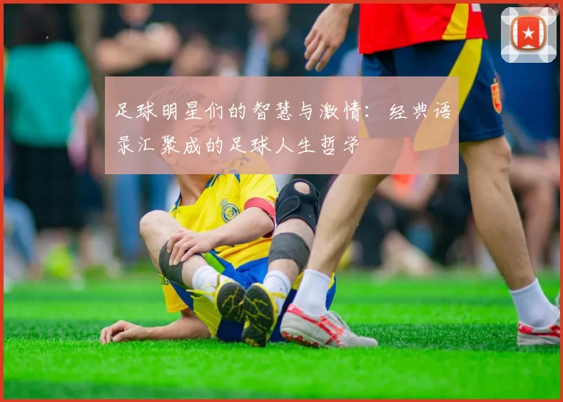 足球明星们的智慧与激情：经典语录汇聚成的足球人生哲学