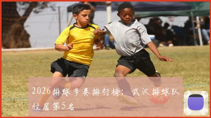 2026排球节奏排行榜：武汉排球队位居第5名